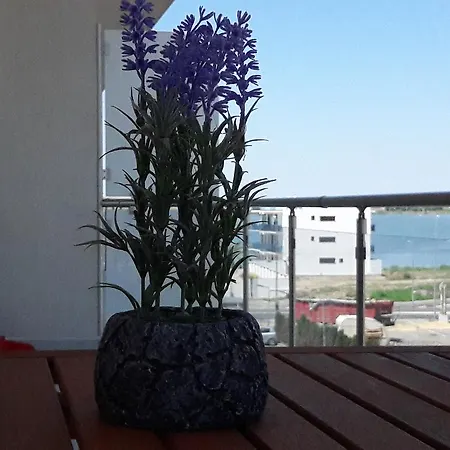 Apartment Leo Del Mare Apartament